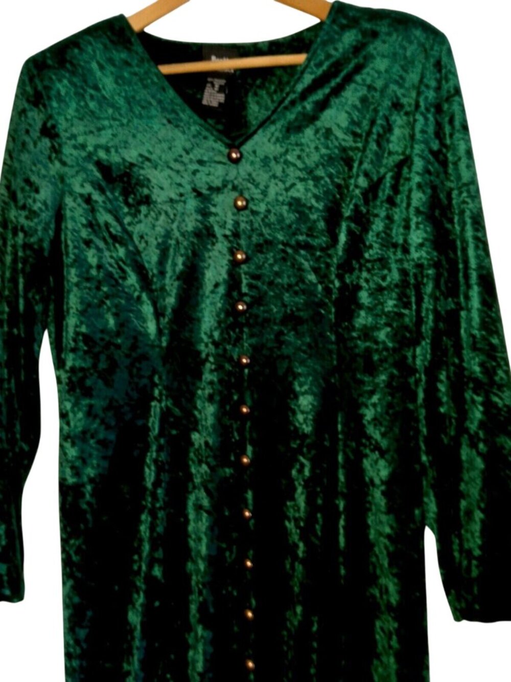 Brett Alixander Dress 10 Velour Green Button Vintage Gothic Renaissance Witchy